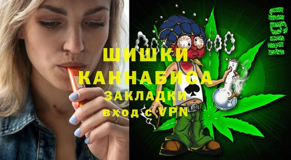 ПСИЛОЦИБИНОВЫЕ ГРИБЫ Слюдянка