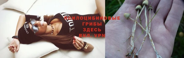 Альфа ПВП Алексин