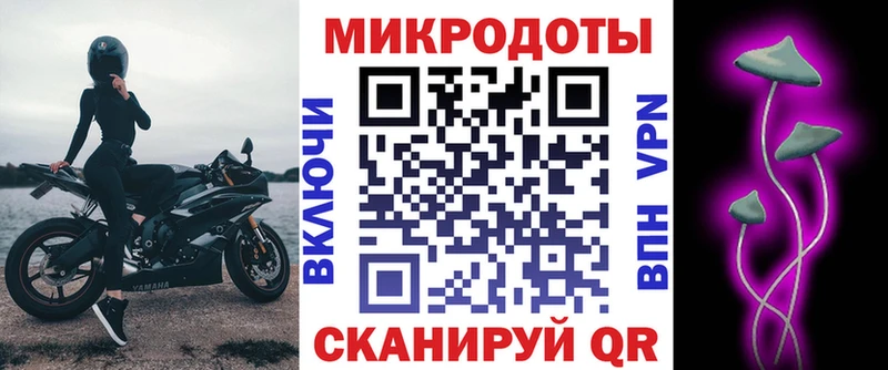 Псилоцибиновые грибы Psilocybe  Кизел 